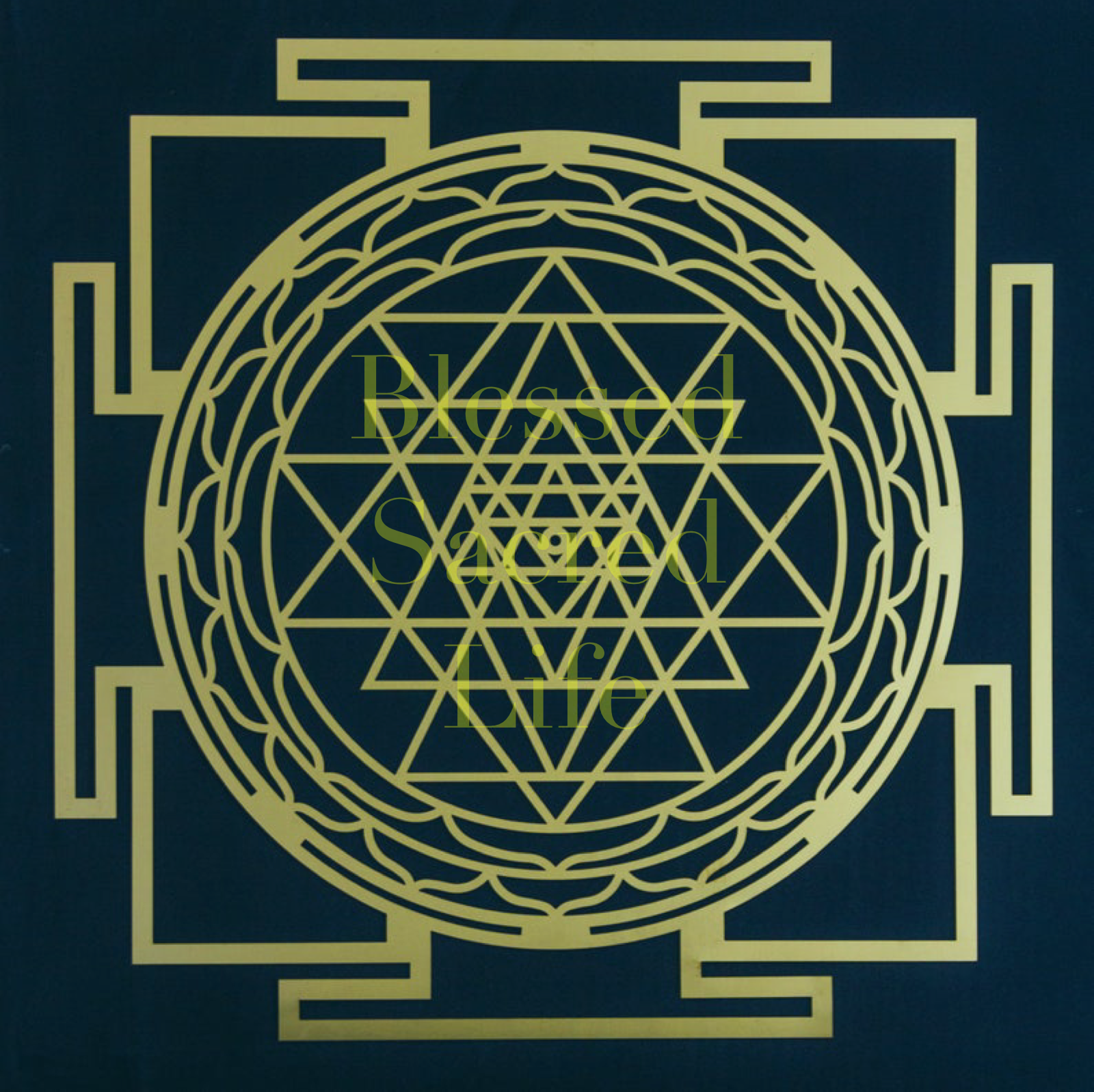 This Blessed Sacred Life